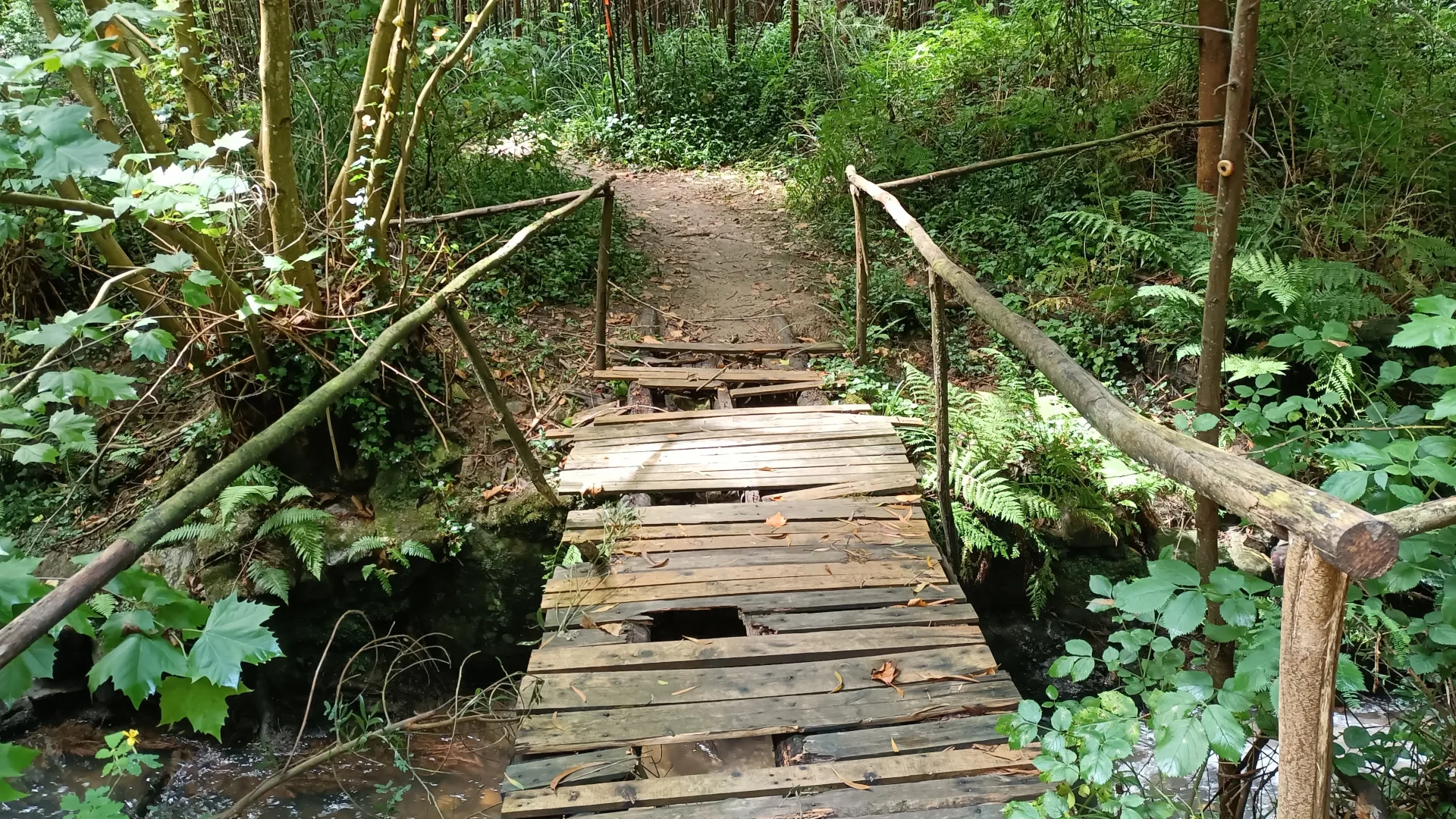 Puente de madera con poco mantenimiento